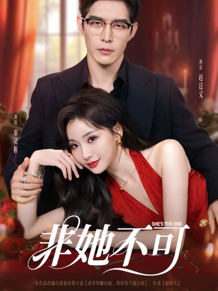 非她不可（88集）赵廷义＆邓灵枢 高清完整版