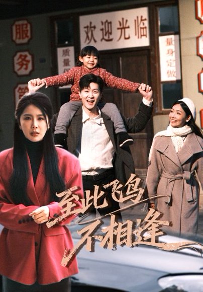 至此飞鸟不相逢（70集）丁海霞&王鹏 高清完整版