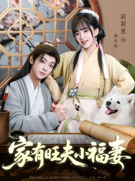 家有旺夫小福妻（93集）吴昊＆莉莉崽 高清完整版