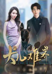 犬儿难养（38集）张炘童 高清完整版